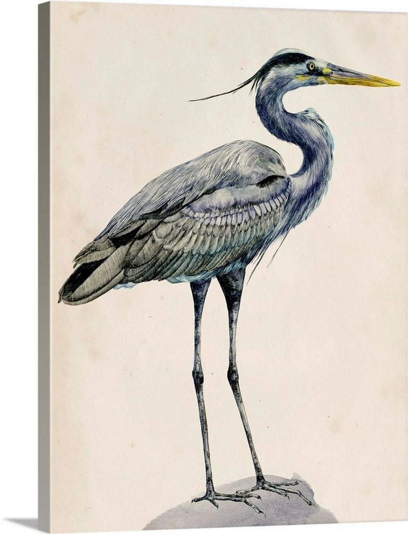 Blue Heron Rendering I Canvas Reproduction (1 of 3)