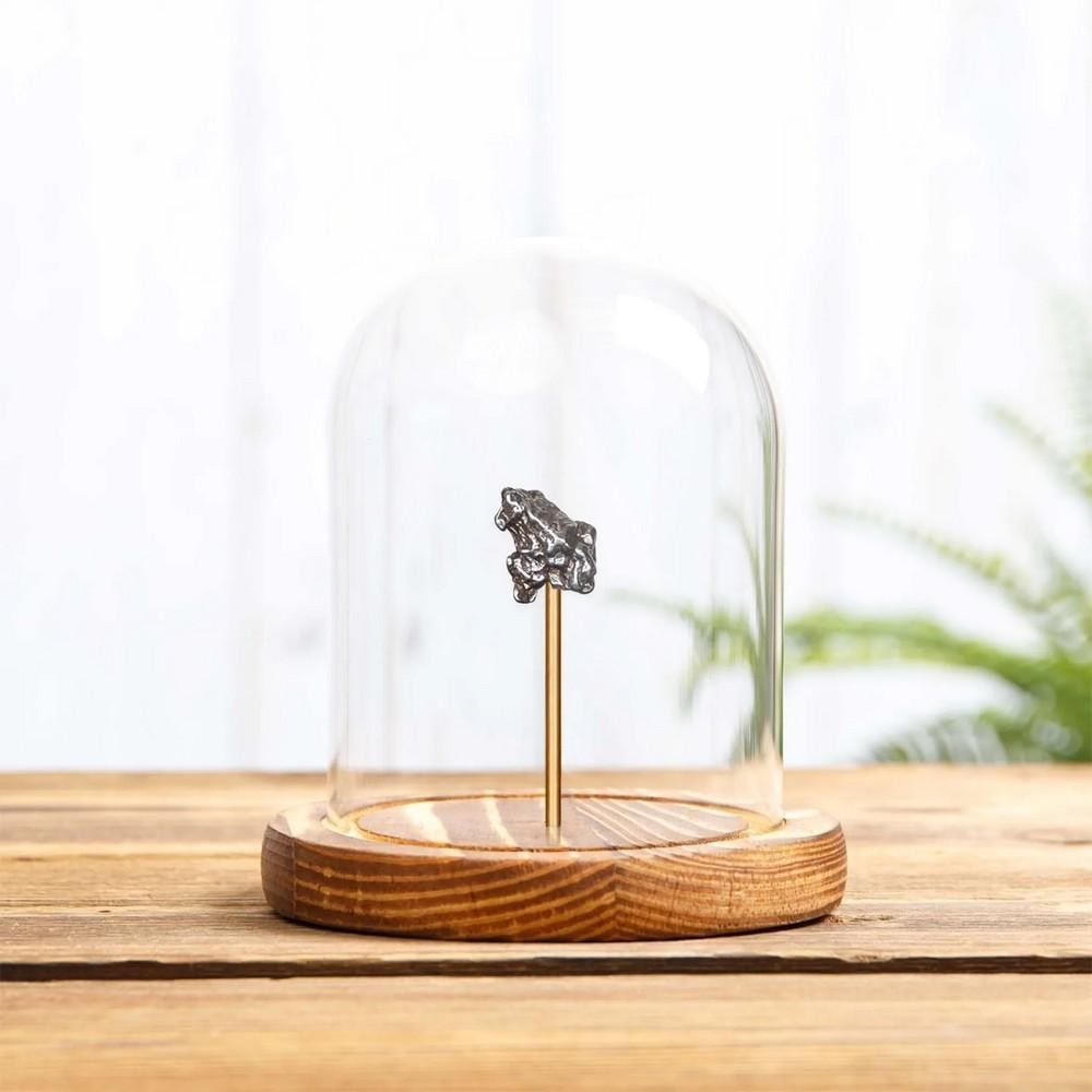 Small Campo del Cielo Iron Meteorite In Glass Dome With Wooden Base (1 of 2)