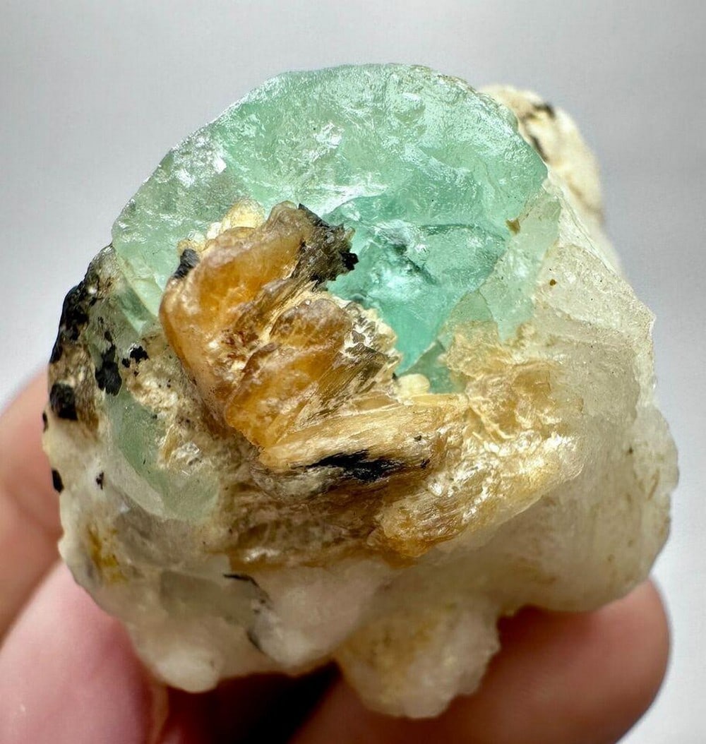 Phosphorescent Green Fluoride With Mica Crystals On Matrix (1 of 5)