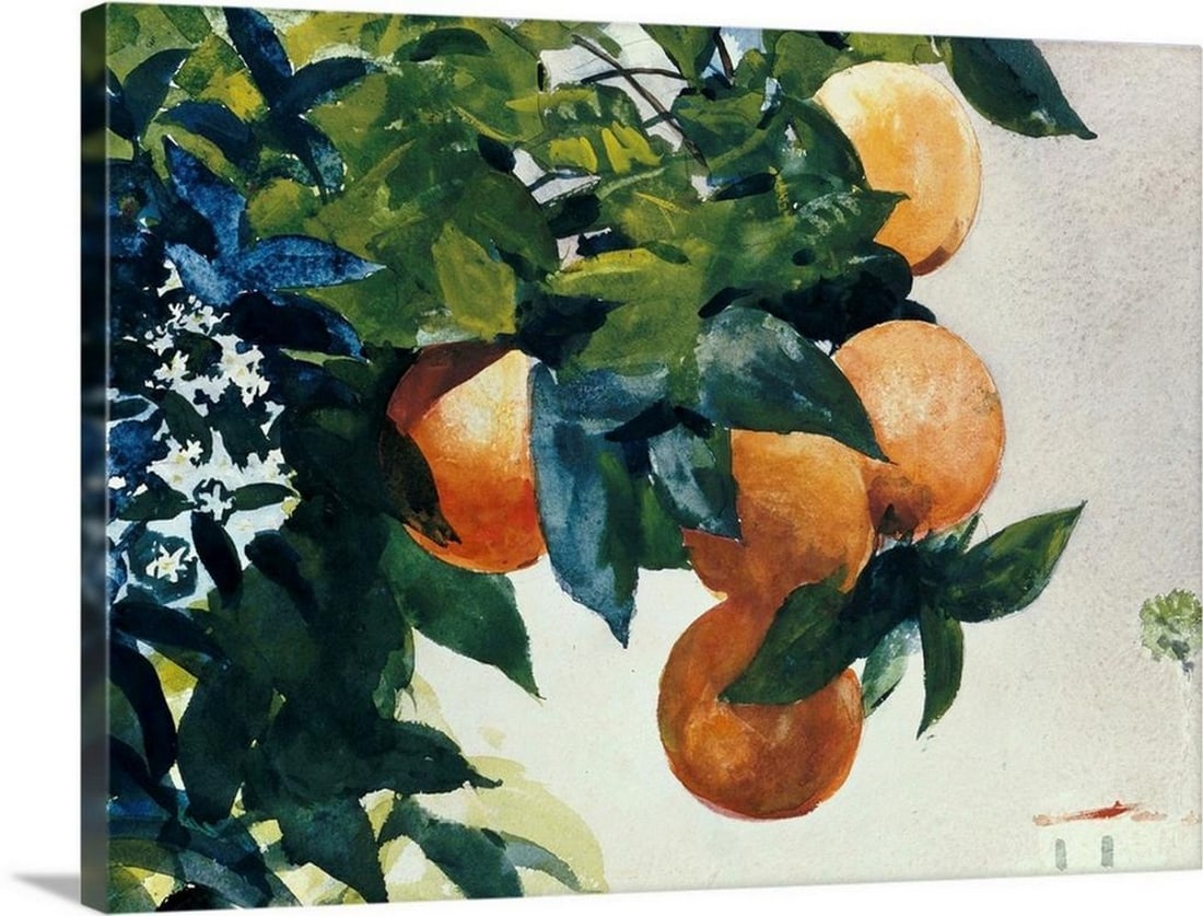 Oranges on a Branch, 1885 Canvas Reproduction by Winslow Homer – 32" x 24" (1 of 2)