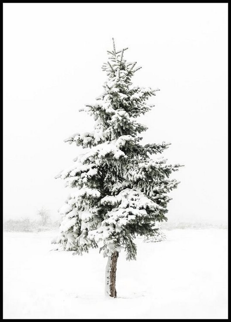 Snowy Winter Pine Serenity Wall Art Poster - 28" x 20" (1 of 2)