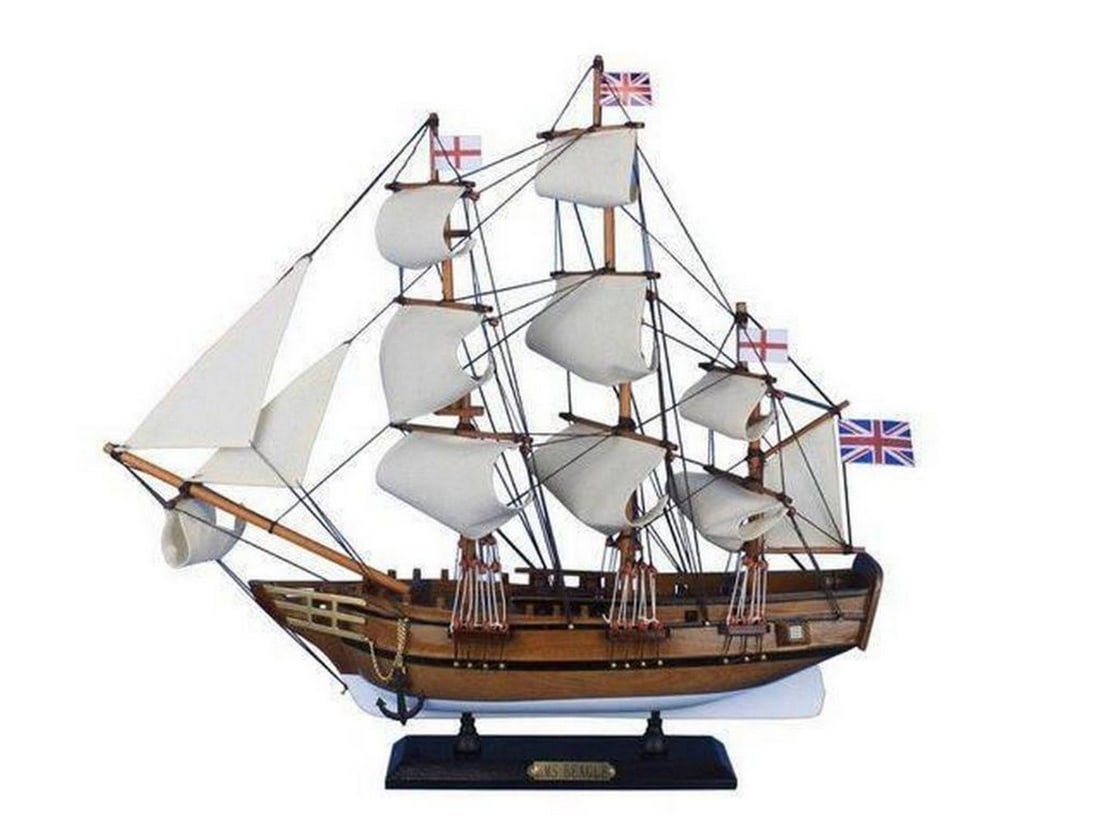 Wooden Charles Darwins HMS Beagle Tall Model Ship 20" (1 of 4)