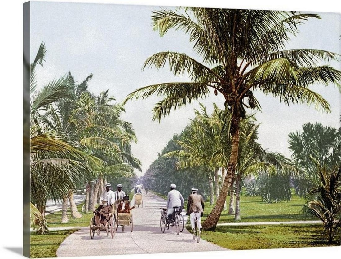 Bicycle Avenue Palm Beach Florida Vintage Photograph Canvas Reproduction: Bicycle Avenue Palm Beach Florida Vintage Photograph Canvas Reproduction Vintage photograph taken as people bicycle down a walking path that is lined with short palm trees. Dimensions: 32 x 24