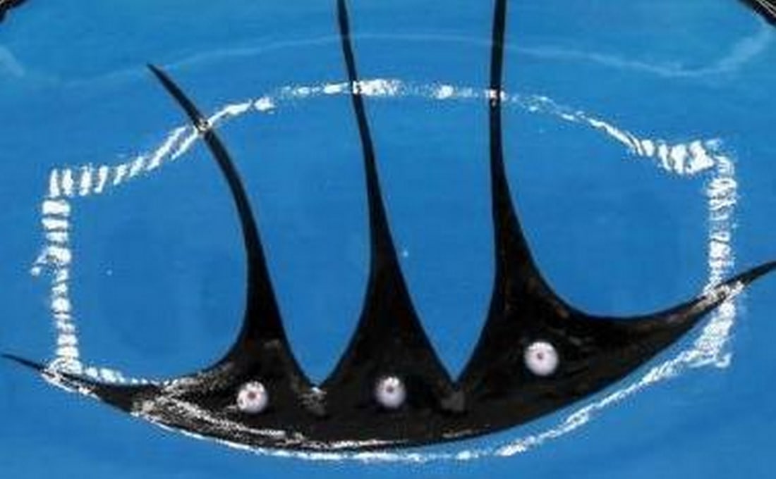 Small Serving Plate by Veran Pardeahtan - 2