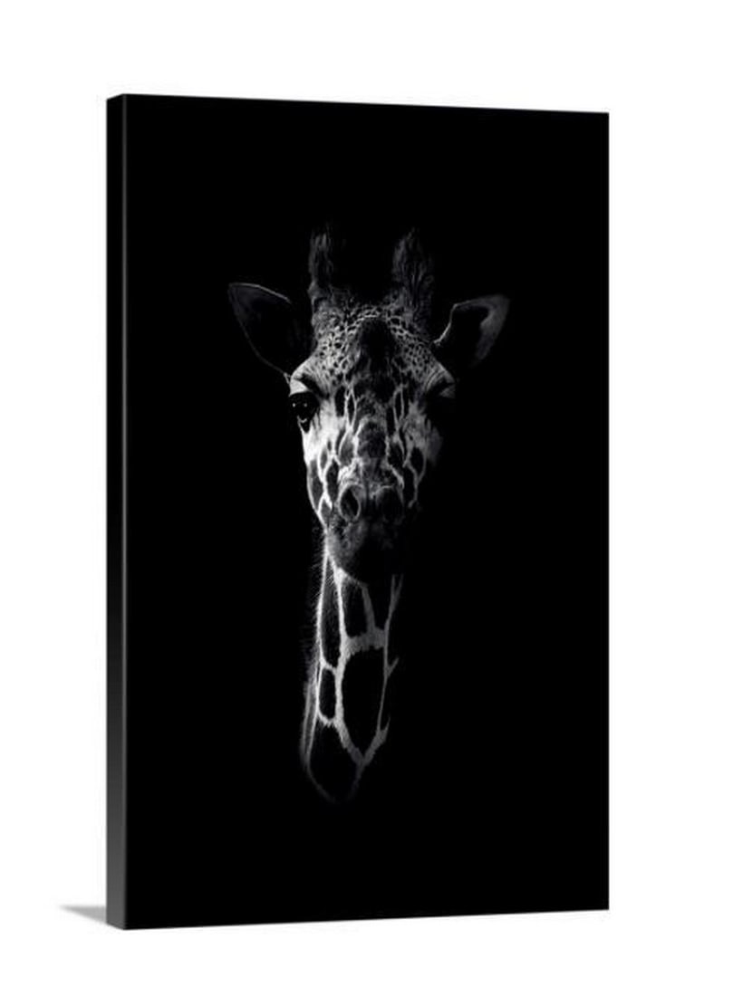 Giraffe In The Shadows Canvas Reproduction Print (1 of 1)