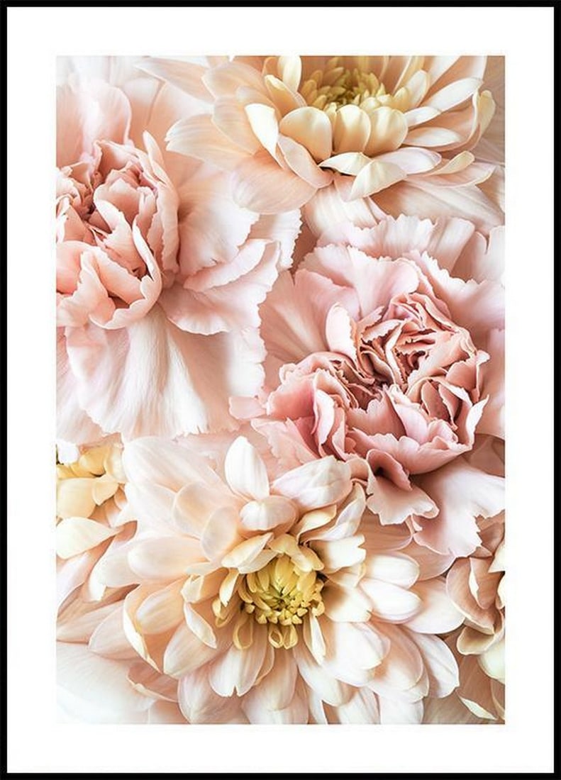 Blossoming Pink Floral Poster: Blossoming Pink Floral Poster Romanic photograph of pink blossoms. Flower posters bring a warm and welcoming feel to your home. Add this print to the bedroom or living room for that special occasion.
