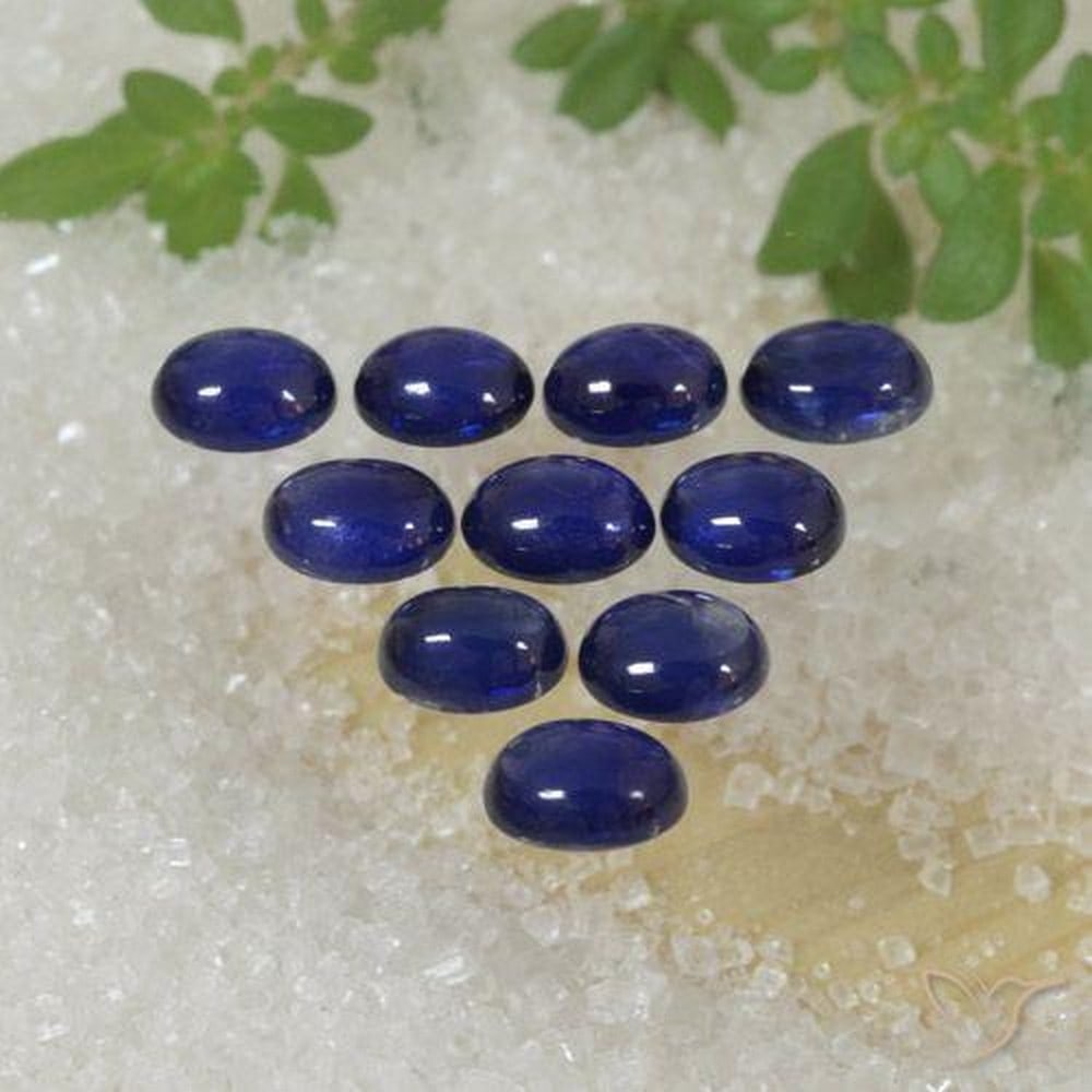 2.70 ctw Natural Deep Blue Sapphire, Oval Cabochon, Translucent, Madagascar: 2.70 ctw Natural Deep Blue Sapphire, Oval Cabochon, Translucent, Madagascar Set of ten natural sapphire gemstones with a combined weight of 2.70 carats (average 0.27 carats each), cut in oval cabochon