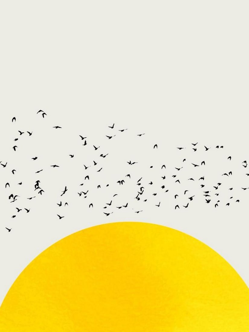 Flock Over Sun Poster: Flock Over Sun Poster A harmonious poster featuring a flock of birds flying over a bright yellow sun against a soft beige sky. The contrast between the sun and sky creates a striking and serene visual