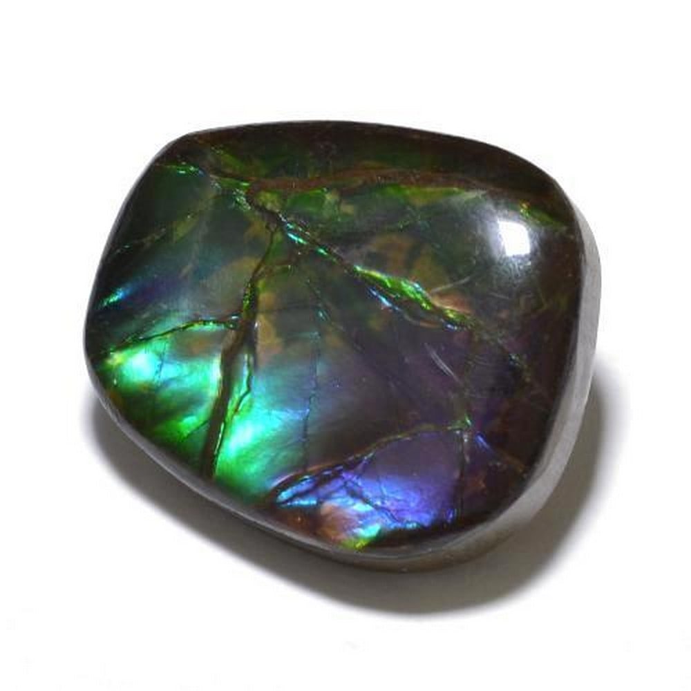 10.92ct Cabochon Multicolor Ammolite Gemstone (1 of 2)