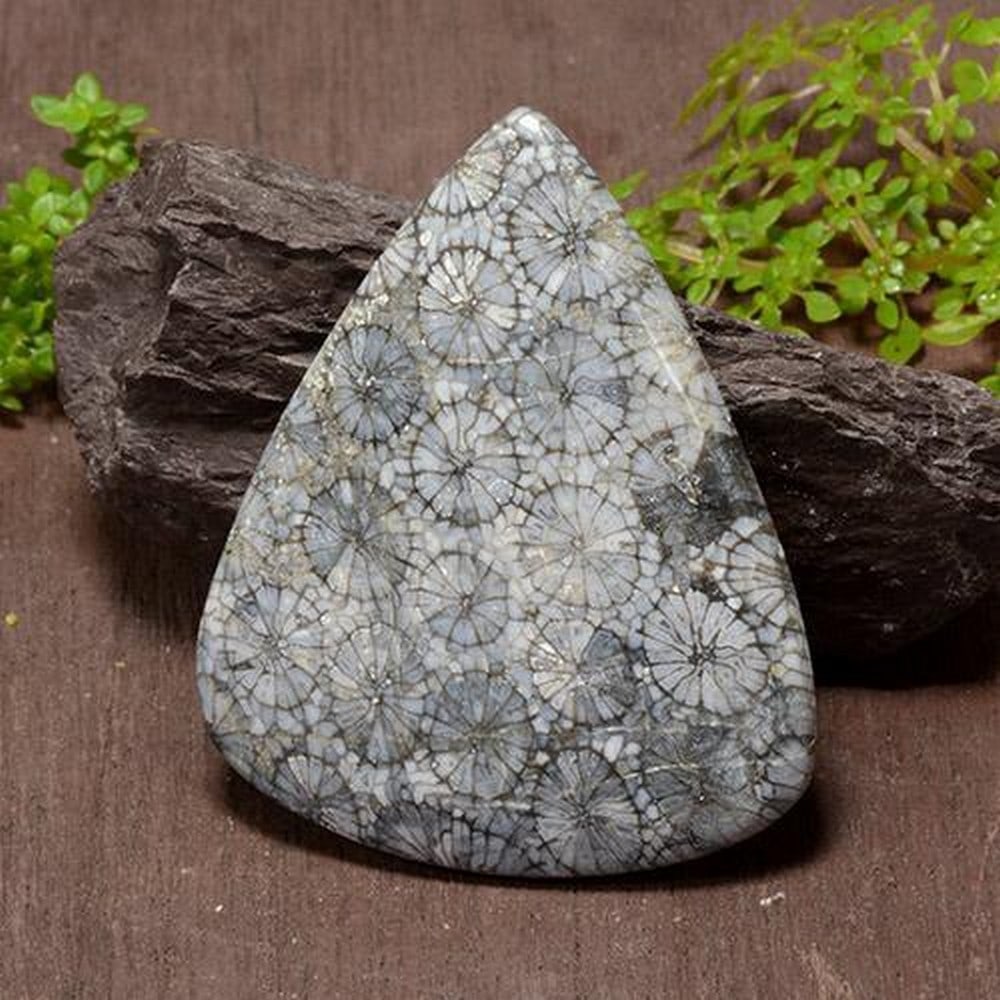 72.53ct Pear Cabochon Multicolor "Spiral" Tear Drop Coral: 72.53ct Multicolor Pear Cabochon Coral This unique pear shaped gem is ??a symbol of modesty, wisdom, happiness and immortality. It is commonly known to remedy the body and help with sleeplessness. W