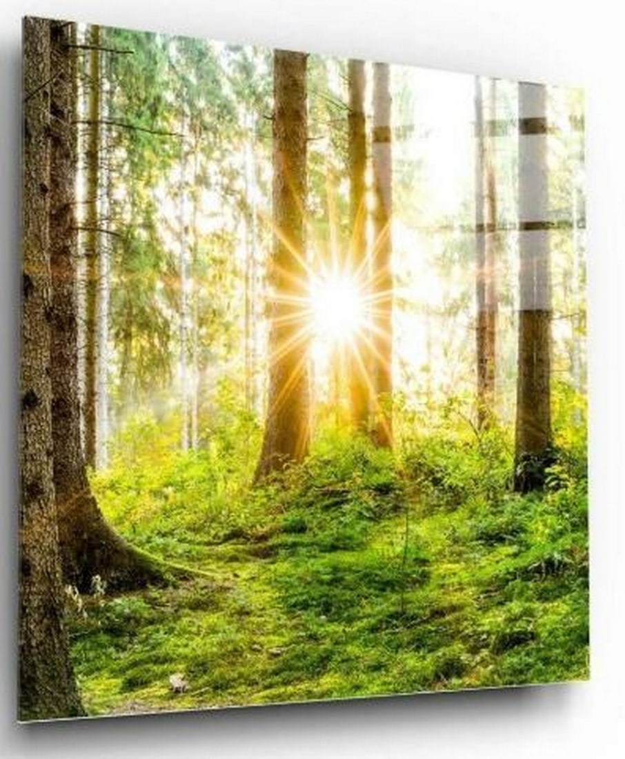 Tempered Glass Wall Art: Sunlit Forest Serenity: Tempered Glass Wall Art: Sunlit Forest Serenity Immerse yourself in nature with this calming tempered glass wall art, featuring a lush green forest bathed in soft sunlight. Rays of light gently
