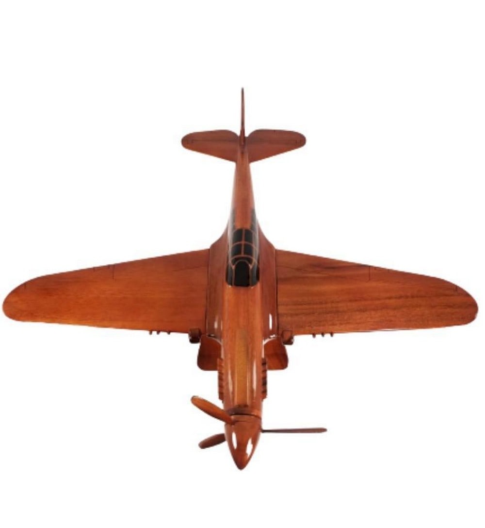 Curtiss P-40 Warhawk Model Plane - 2