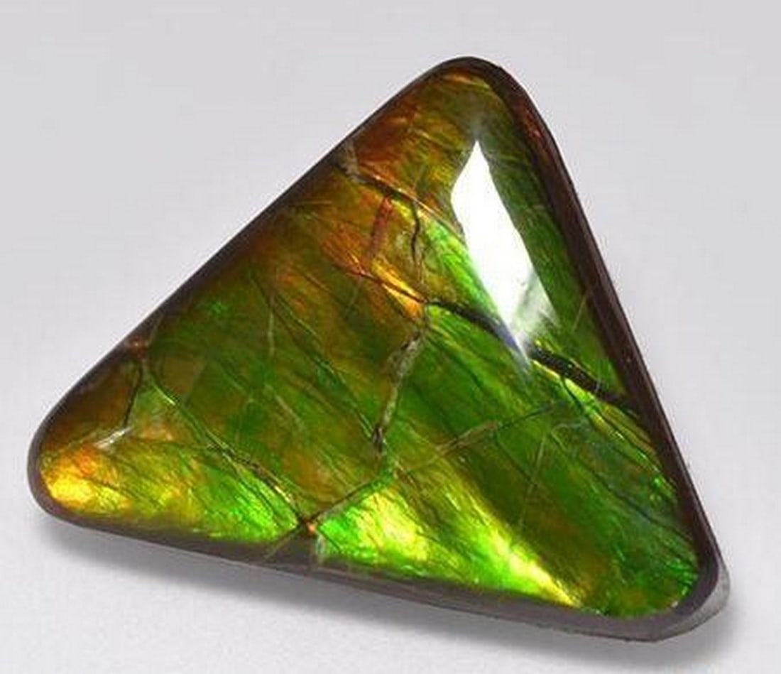 15.01 ct Trillion Cabochon Deep Forest Ammolite Gemstone: 15.01 ct Trillion Cabochon Deep Forest Ammolite Gemstone Introducing the Trillion Cabochon Deep Forest Ammolite Gemstone, a captivating marvel that not only echoes the enchantment of a deep,