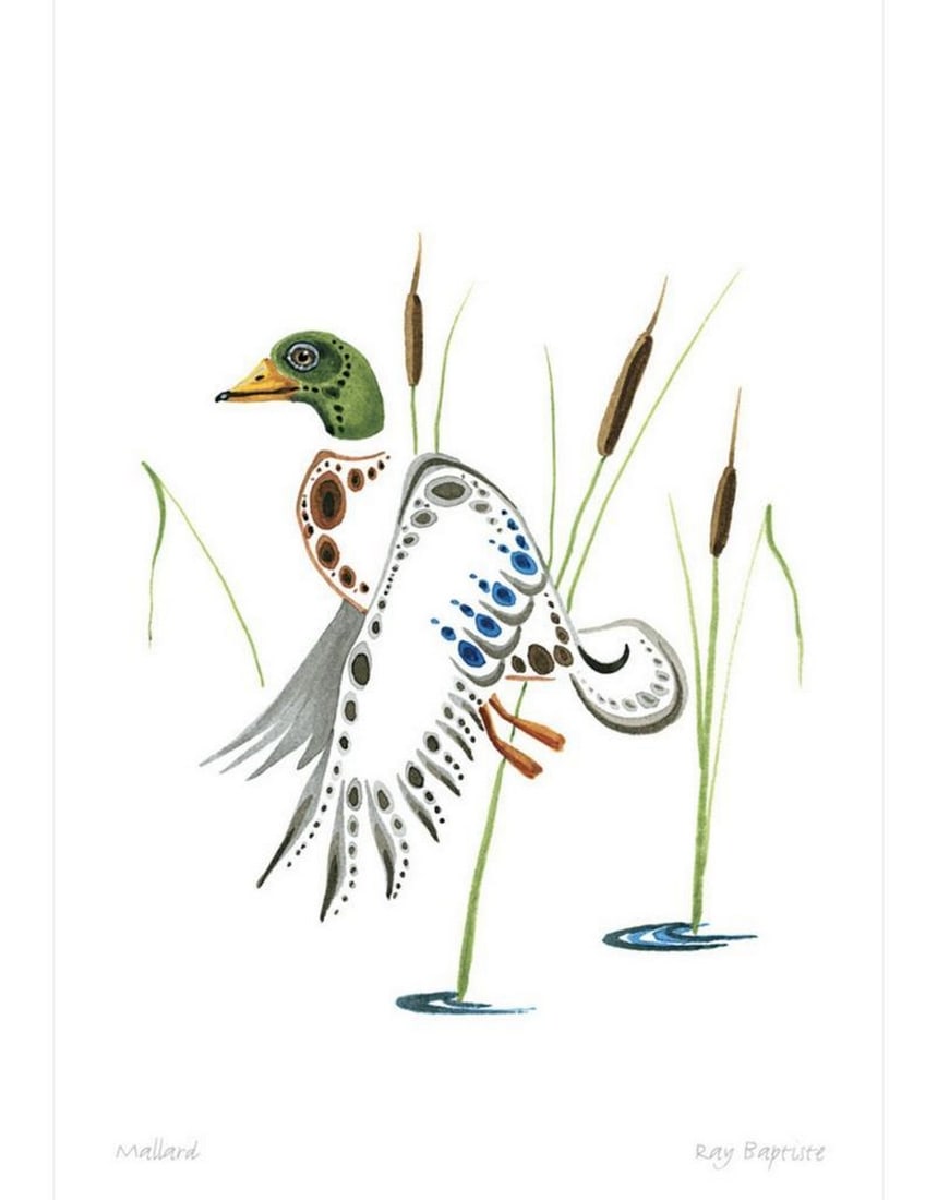 12" x 14" Mallard by Ray Baptiste Framed Print: 12" x 14" Mallard by Ray Baptiste Framed Print Ray Baptiste, an Ojibway born in Berens River, Manitoba, and now based in Vancouver, BC, grew up in Winnipeg where he began studying art at Kild