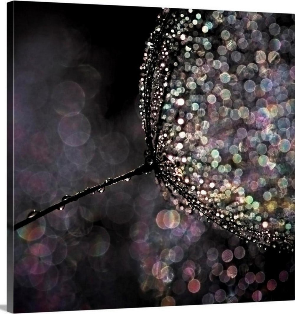 Chandelier Canvas Reproduction By Ursula Abresch: Chandelier Canvas Reproduction By Ursula Abresch Ursula Abresch's unique photography style can be classified as photo-impressionism, which allows for the abstraction of subjects; it makes it