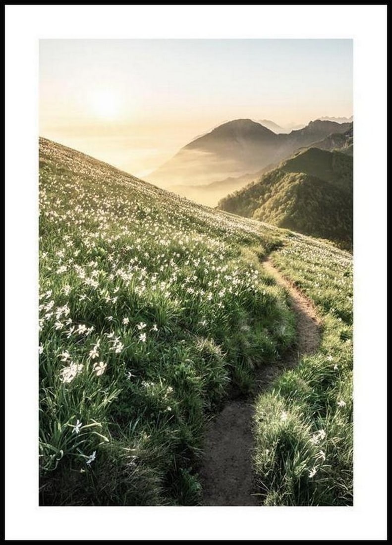 Nature Path At Sunset Poster: Nature Path At Sunset Poster A beautiful nature poster of a path that leads along a mountain through a green meadow with white flowers. Feel the sunrays on your skin and breathe the mountain air.