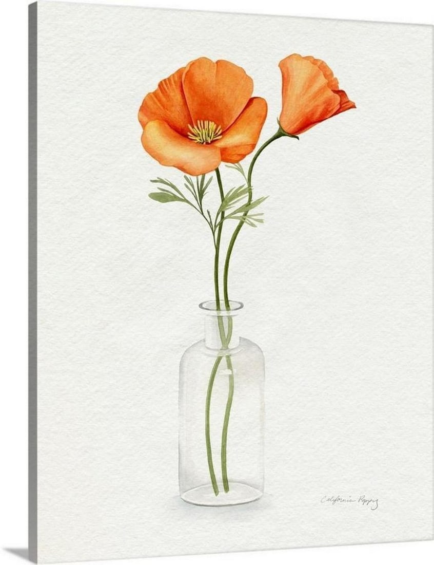California Poppy Vase II Canvas Reproduction (1 of 3)