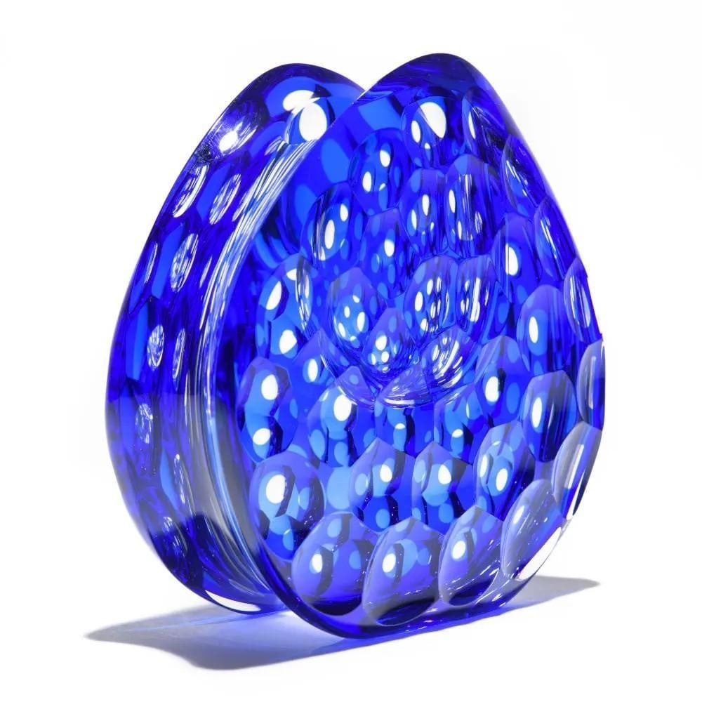Evolutionary Seed Pod Sculpture ‘Life Cycle 19’ by Steve Frey Glass: Evolutionary Seed Pod Sculpture ‘Life Cycle 19’ by Steve Frey Glass Filled with vitality and radiant light, this expertly cast seed pod sculpture features a honeycomb structure that lets light