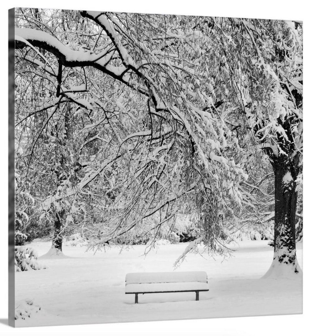 Fresh Fallen Winter Morning Snow Canvas Reproduction (1 of 1)