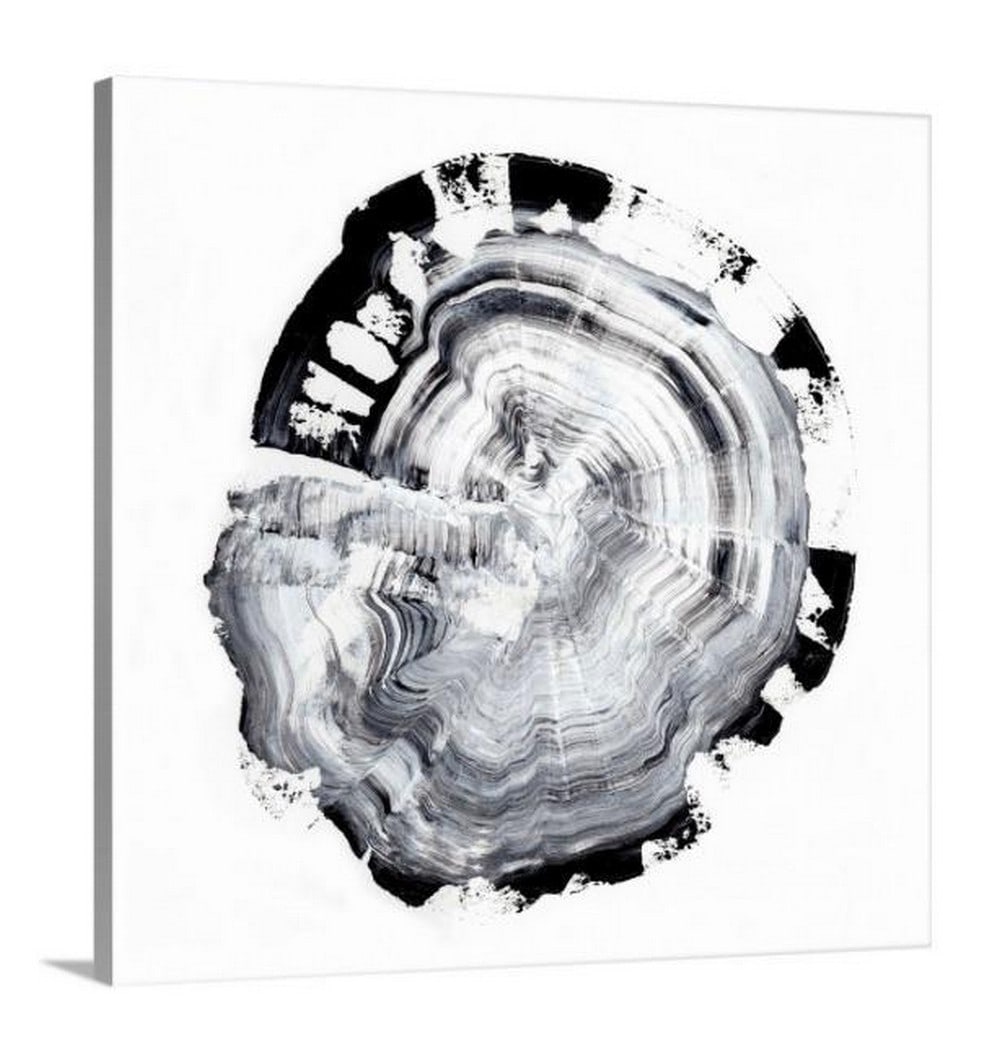 Abstract Black and White Tree Ring Canvas Reproduction Print: Abstract Black and White Tree Ring Canvas Reproduction Print With a background in classical oil painting and medical illustration, the artist Ethan Harper employs a painterly approach to his work whi