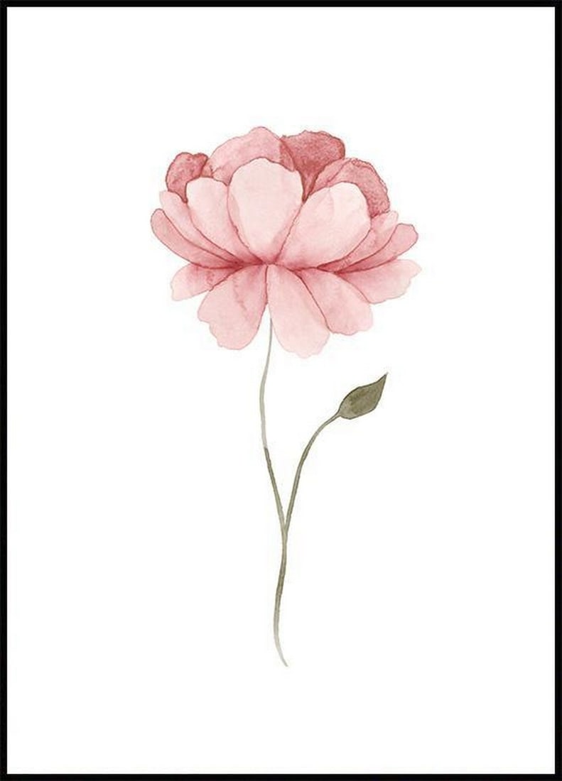Beautiful Peony Poster (1 of 1)