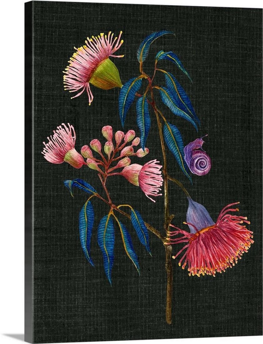 Gum Nuts II Canvas Reproduction by Melissa Wang: Gum Nuts II Canvas Reproduction by Melissa Wang Melissa Wang Melissa Wang's watercolor style and preference for subtle earth tones allows her art to fit easily into any home. Blending compositions