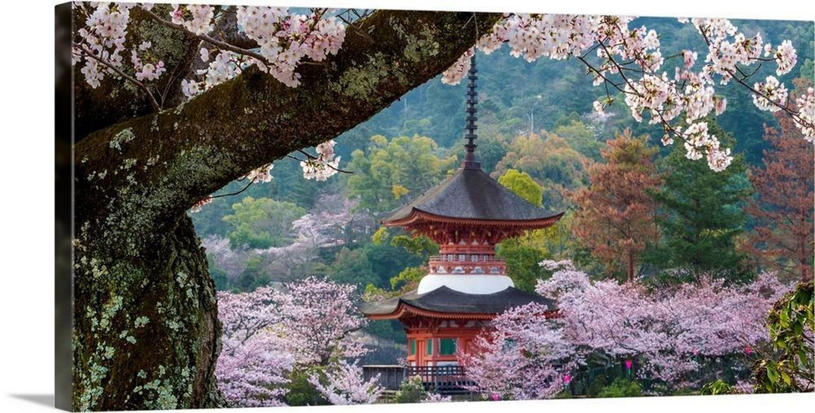 Japan Canvas Reproduction: Japan Canvas Reproduction Fine art photograph of a building in Japan surrounded by blossoming trees. Dimensions: 24 x 12 inches View photos for further details.