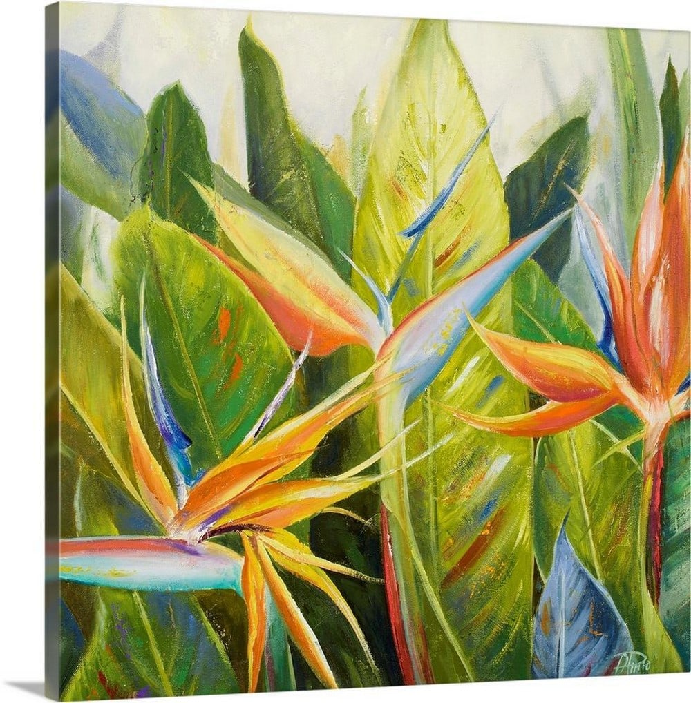 Bird of Paradise I Canvas Reproduction By Patricia Pinto: Bird of Paradise I Canvas Reproduction By Patricia Pinto Contemporary artwork of multicolored plants and large green leaves standing straight up in the background. Width: 16 inches Height: 16 inches