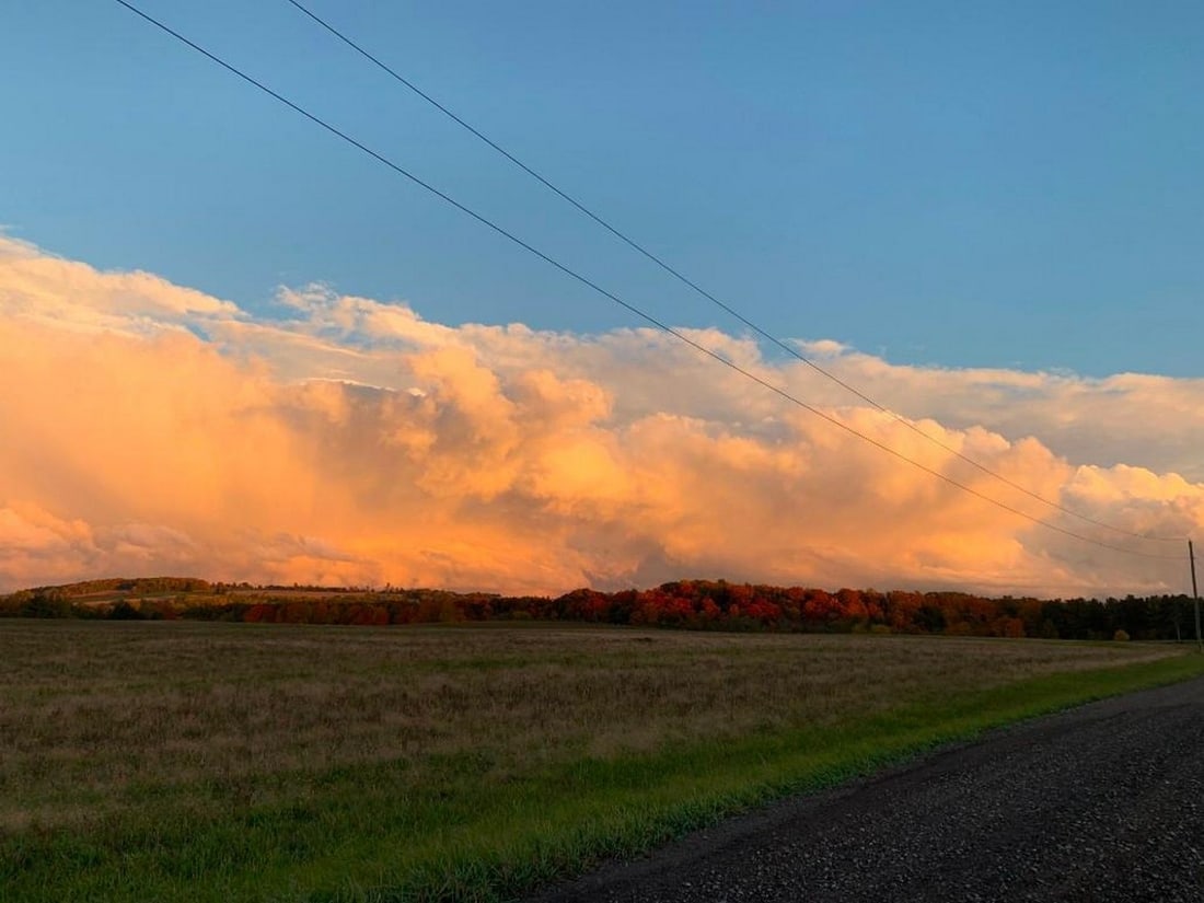 Golden Horizon: Golden Horizon Capture the beauty of autumn’s golden glow with this exclusive hand-painted canvas offer. The original photograph depicts a peaceful road leading past open farm fields, where distant