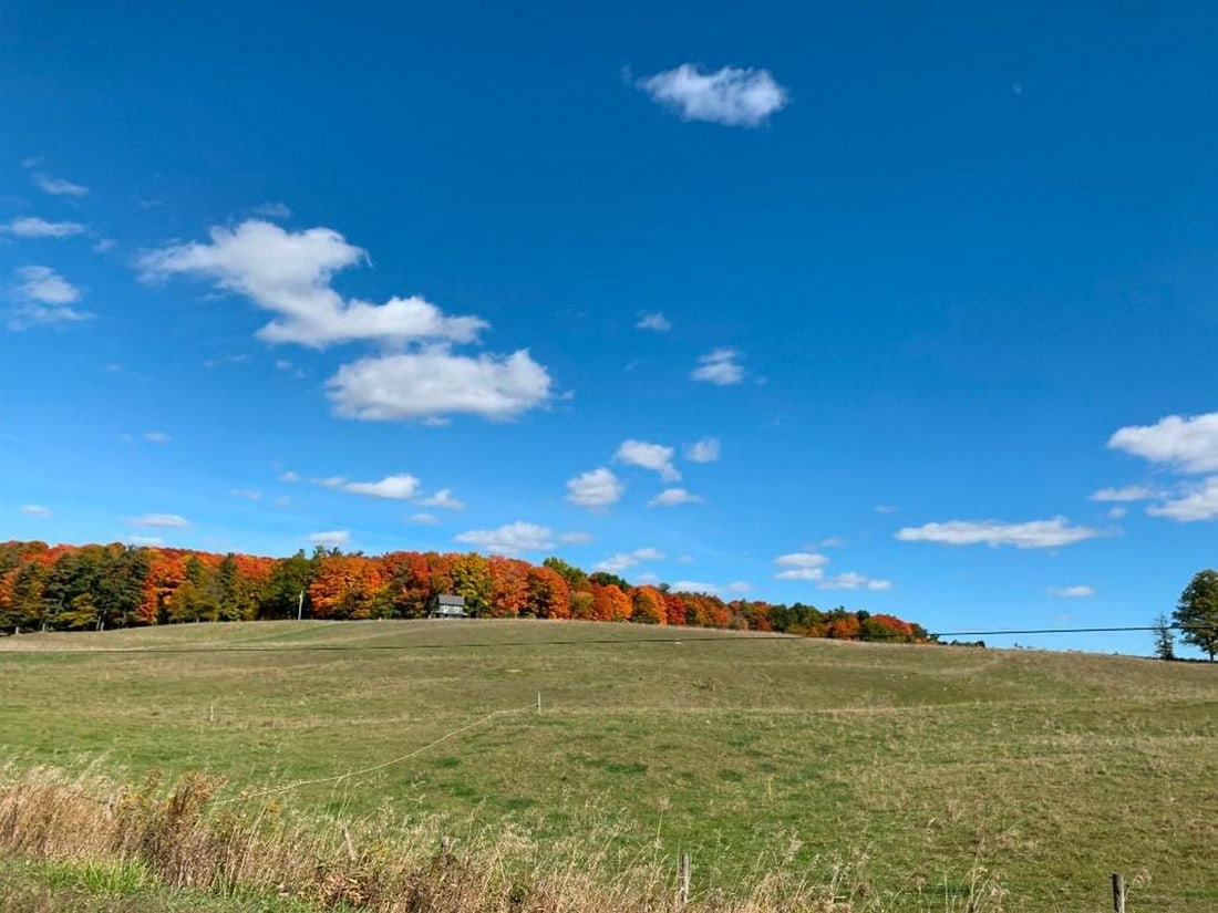 Autumn Hilltop: Autumn Hilltop Celebrate the warm beauty of fall with this exclusive hand-painted canvas opportunity. The photograph captures a large, open field leading up to a charming house perched atop a