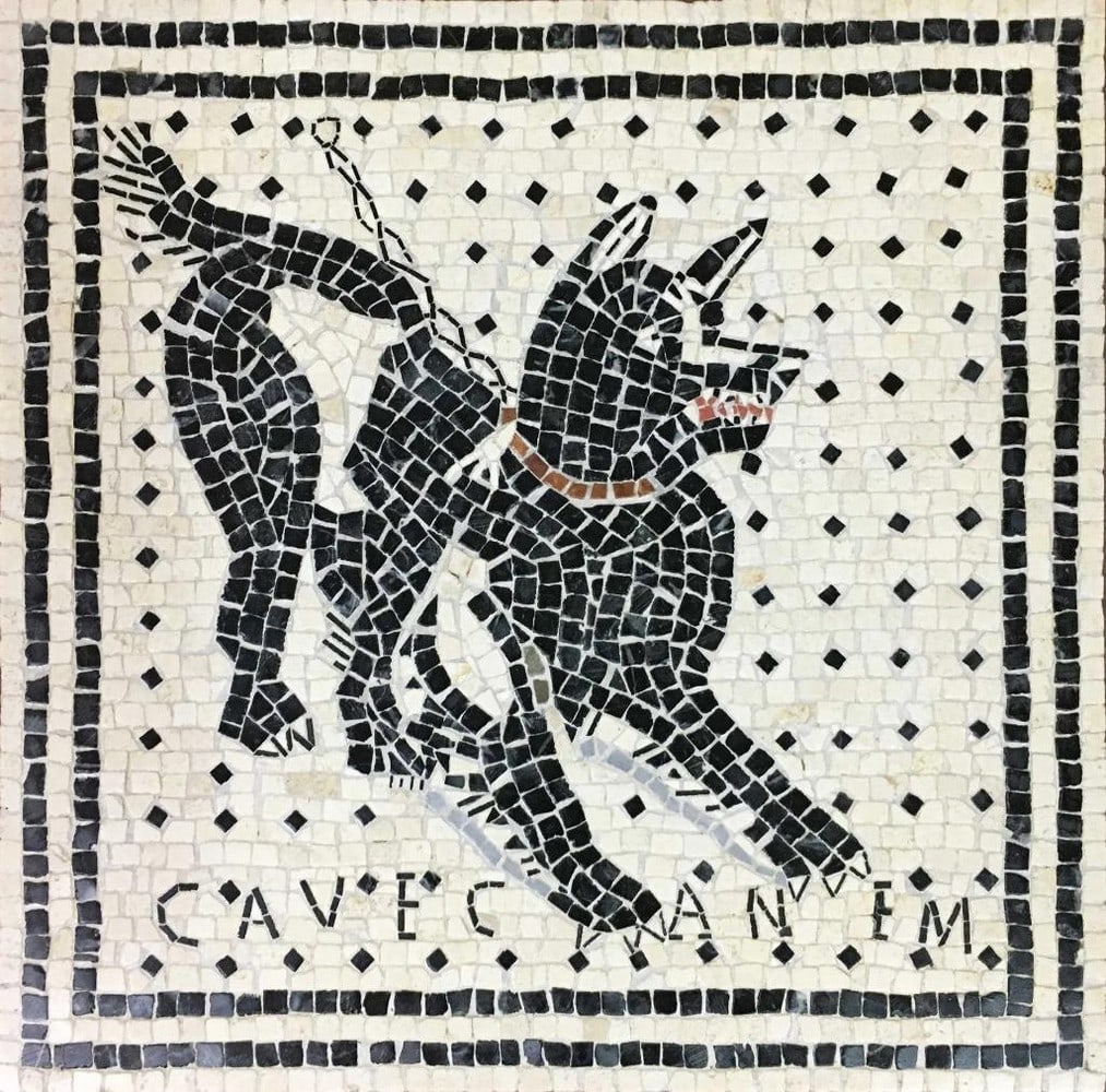 Cave Canem Mosaic: Cave Canem Mosaic The Cave Canem Mosaic is apart of a wide collection of Animal Mosaics. This reproduction was found in Pompeii in 'The House of the Tragic Poet' and illustrates a black