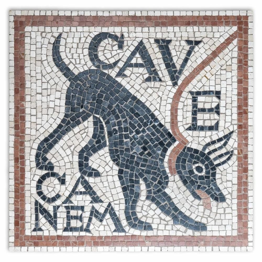 Cave Canem: Beware of the Dog Mosaic: Cave Canem: Beware of the Dog Mosaic This handcrafted reproduction of the iconic Cave Canem mosaic revives one of the most famous images from ancient Pompeii. Featuring a black dog accompanied by the