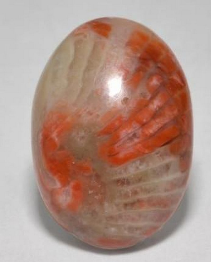 Blush Tides Multicolor Coral Oval Cabochon: Blush Tides Multicolor Coral Oval Cabochon Soft and organic in both color and form, this loose Coral gemstone features a smooth oval cabochon cut and a gentle blend of pink and white hues. Evoking