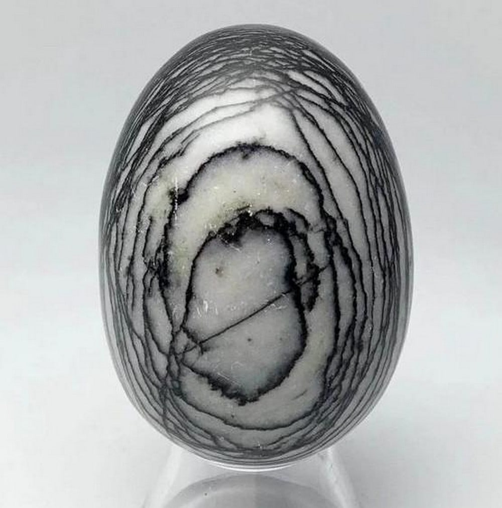 Web Jasper Egg - 2