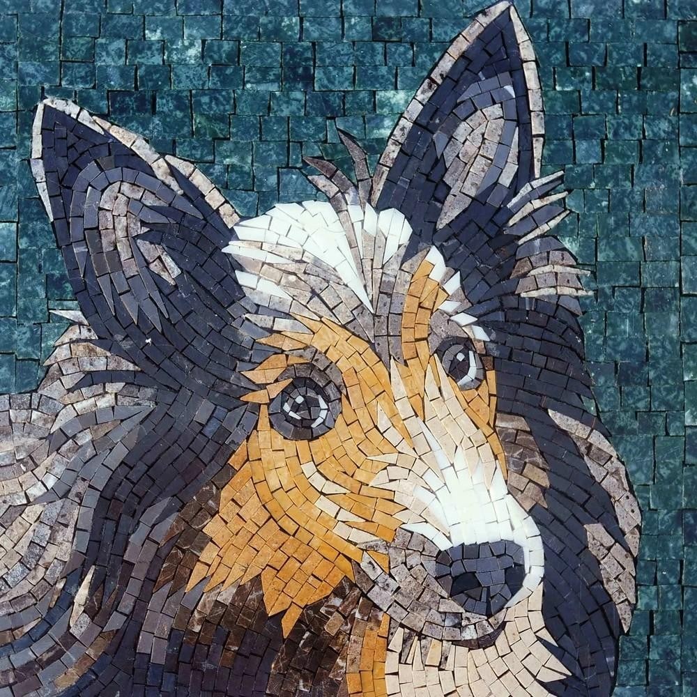 Shetland Sheepdog Mosaic Portrait in Stone: Shetland Sheepdog Mosaic Portrait in Stone A handcrafted square mosaic made from natural stones. This design features a lifelike Shetland Sheepdog, capturing the texture of its fur, the sparkle in