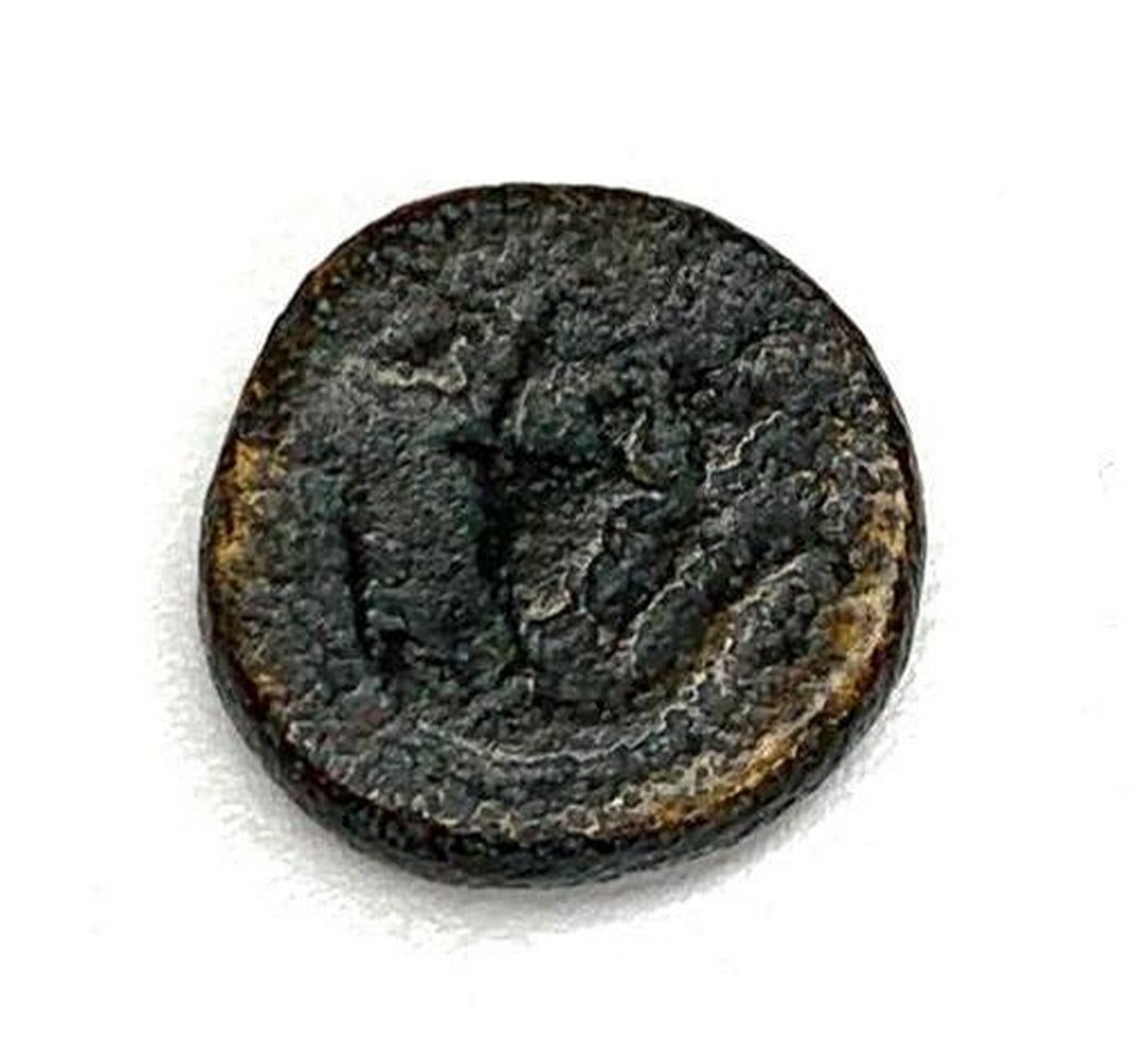 288 - 278 B.C. Macedonia Coin: 288 - 278 B.C. Macedonia Coin View photos for further details.
