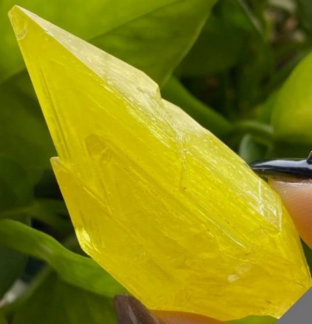 Brilliant Yellow Sulfur Crystals on Quartz: Brilliant Yellow Sulfur Crystals on Quartz This 17.10 gram natural mineral specimen showcases brilliant yellow sulfur crystals growing atop a translucent quartz base. The sulfur's vivid hue