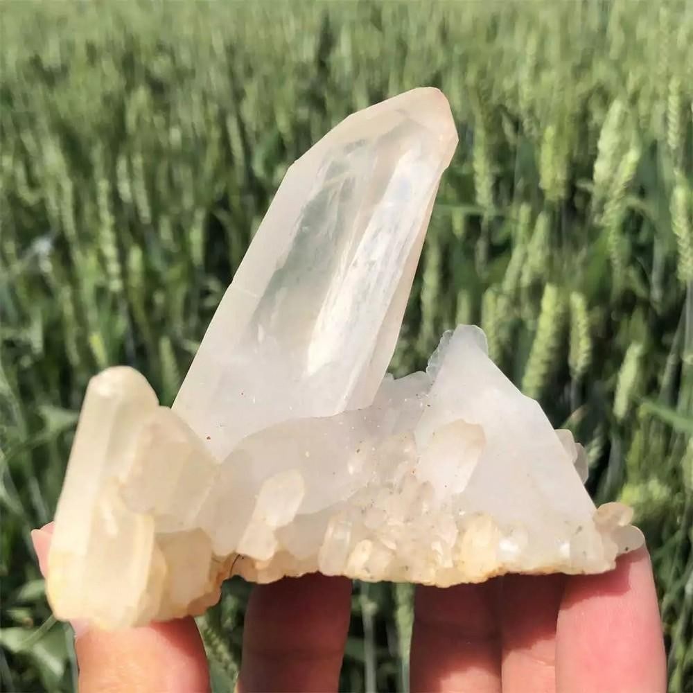 Clear Quartz Crystal Cluster Mineral Specimen for Healing: Clear Quartz Crystal Cluster Mineral Specimen for Healing This beautiful clear quartz crystal cluster features multiple well-formed points, each showcasing the natural clarity and brilliance of