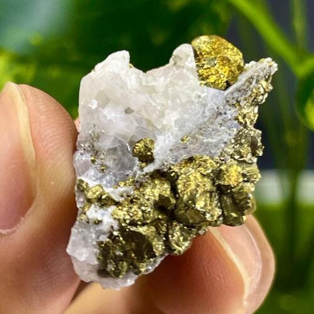 11g Natural Chalcopyrite & Calcite Crystal Cluster: 11g Natural Chalcopyrite & Calcite Crystal Cluster A stunning 11g cluster featuring vibrant chalcopyrite and delicate calcite crystals. Perfect for collectors and mineral enthusiasts. Weight: 11g
