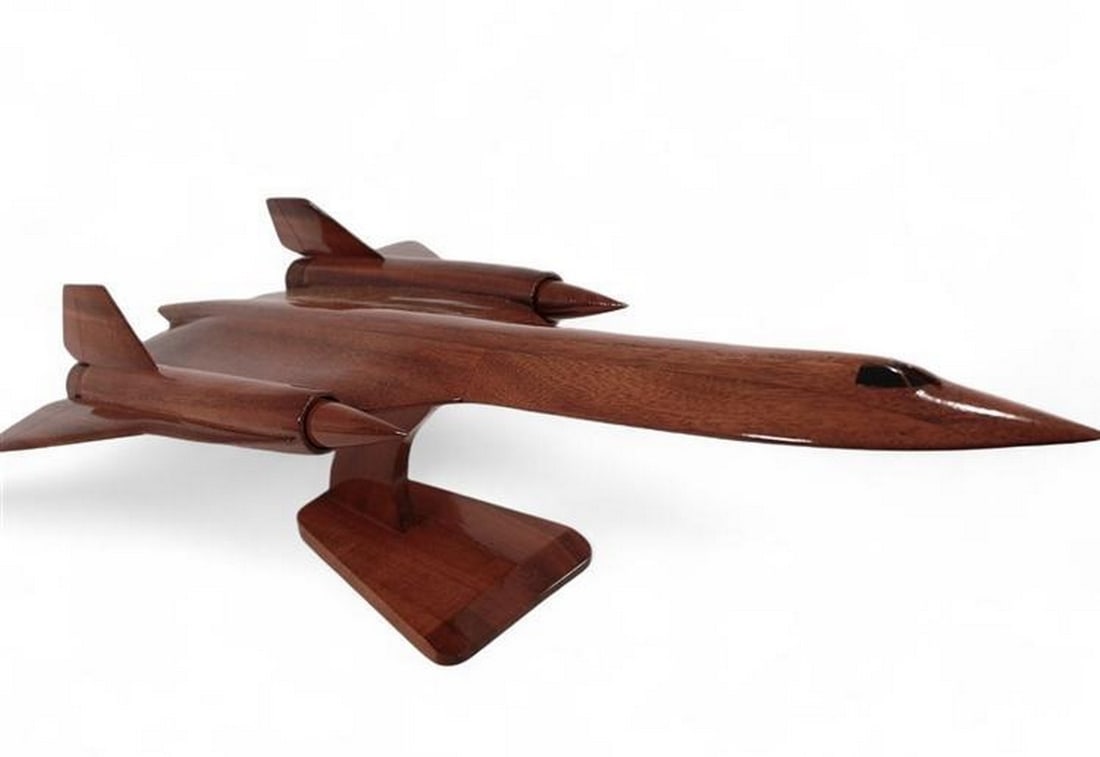 SR-71 Blackbird Model Plane (1 of 4)