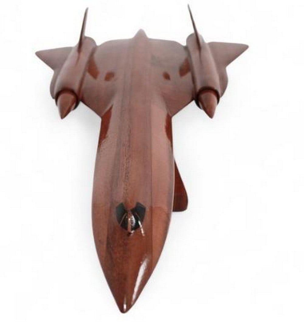 SR-71 Blackbird Model Plane - 4