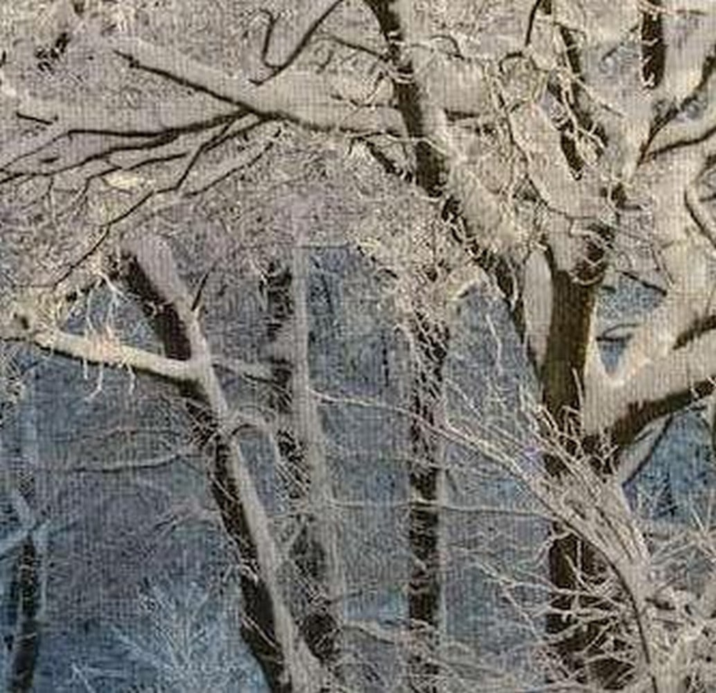 Snowy Tranquil Forest Wall Tapestry - 2