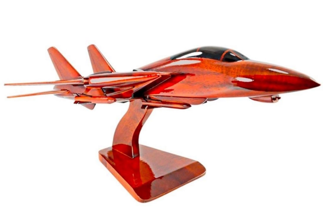 F-14 Tomcat Model Aircraft - 2