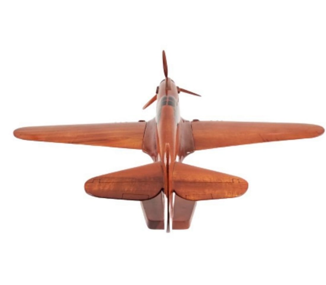 Curtiss P-40 Warhawk Model Plane - 3