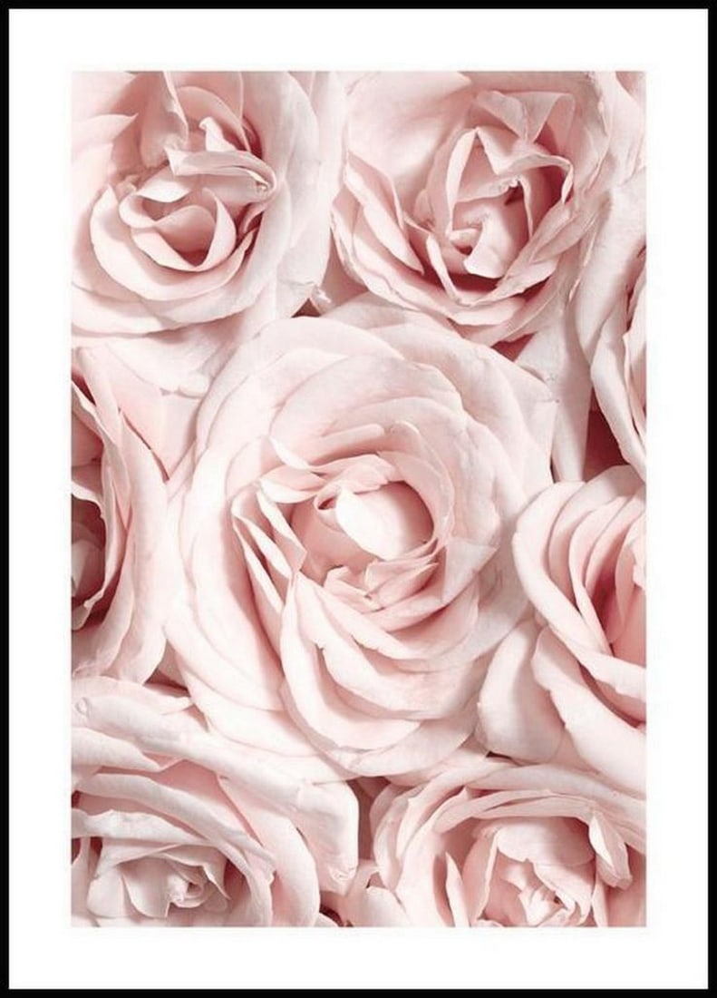 Pastel Pink Peony Poster (1 of 1)