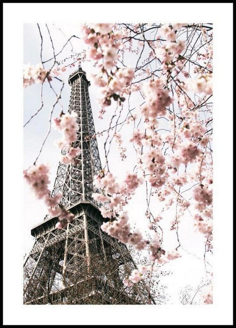 Blooming Eiffel Tower Poster: Blooming Eiffel Tower Poster A romantic photographic poster of pink cherry blossoms in front of the Eiffel Tower in Paris. The blue sky and the pink blossoms form a beautiful colour combination.