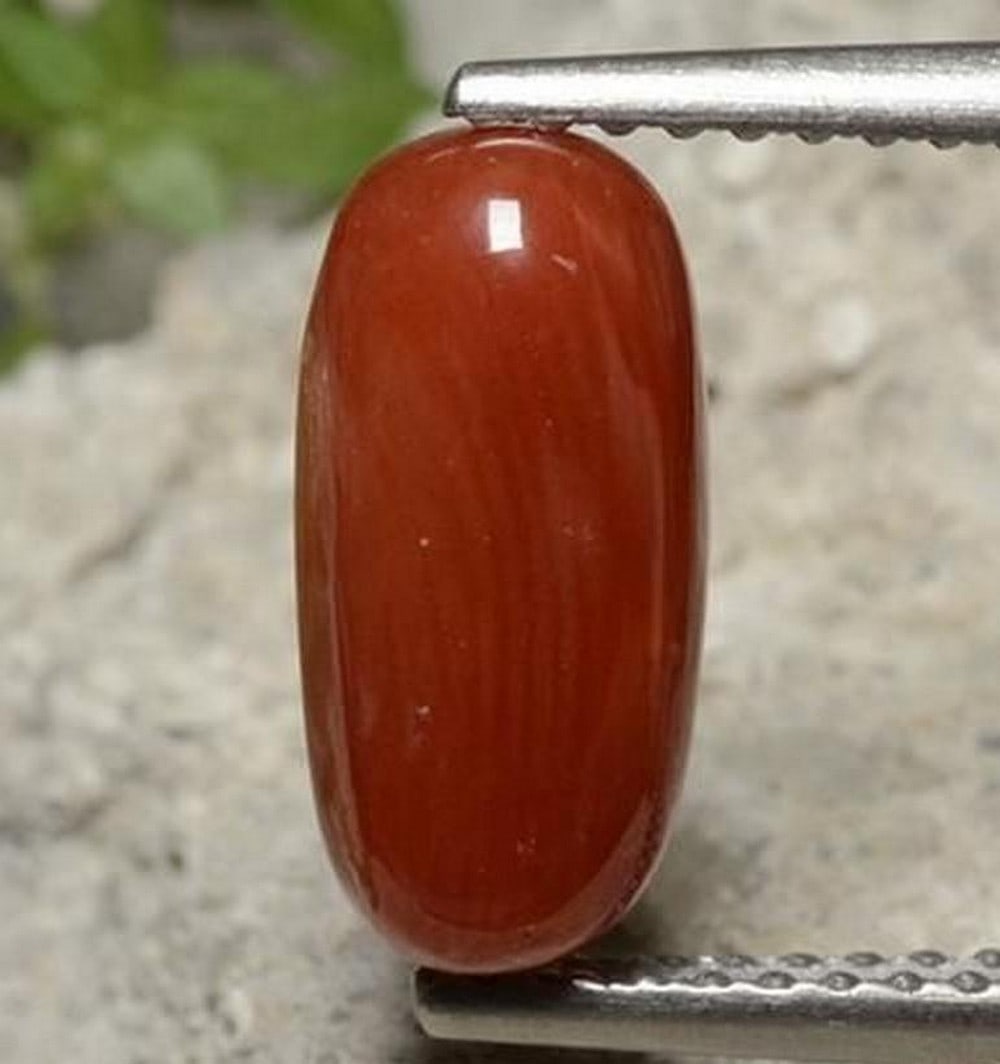 1.95 ct Oval Natural Fire Red Tone Coral: 1.95 ct Oval Natural Fire Red Tone Coral Introducing the Oval Natural Fire Red Tone Coral, a vibrant gem with a striking fire red color and classic oval cabochon shape. This untreated coral from Austr