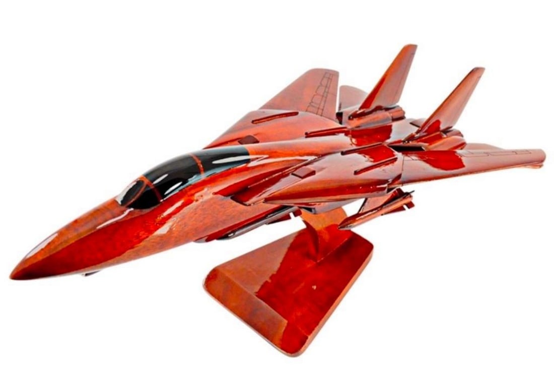 F-14 Tomcat Model Aircraft: F-14 Tomcat Model Aircraft The Grumman F-14 Tomcat is an American carrier-capable supersonic, twin-engine, two-seat, twin-tail, variable-sweep wing fighter aircraft. It was developed for the United S