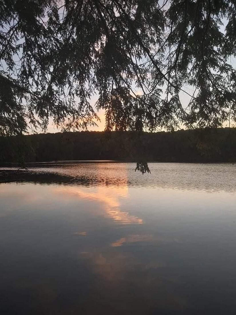 Twilight Reflections: Twilight Reflections Immerse yourself in the quiet beauty of dusk with this exclusive hand-painted canvas opportunity. The photograph is taken from beneath a tree, its branches and leaves forming a n