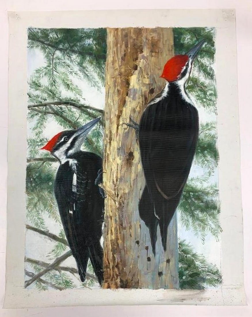 Original Acrylic 20" x 28" Pileated Woodpecker Pairing On Canvas By Yaoge: Original Acrylic 20" x 28" Pileated Woodpecker Pairing On Canvas By Yaoge The male and female Pileated Woodpeckers have met on a tree to drill away to find some insects. A common site within